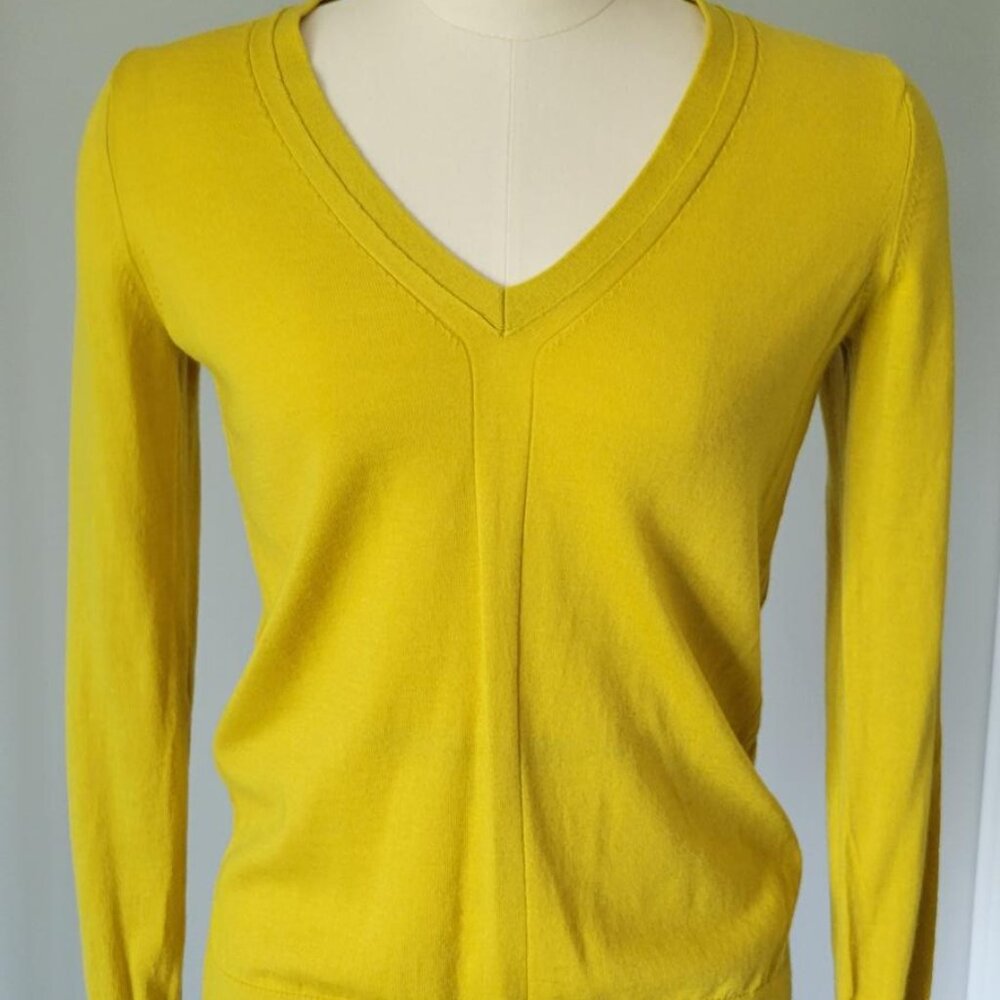 Banana Republic Merino Wool V Neck Sweater